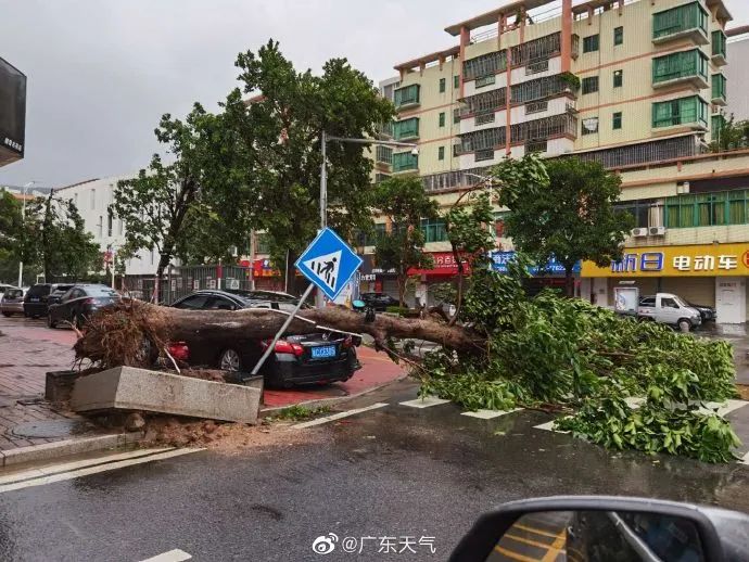 登陆时12级 台风 海高斯 吵醒网友 当地停工停业停课 港交所取消上午交易 每日经济新闻